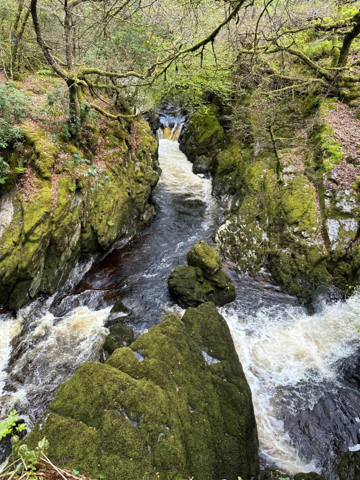 Lovely In Cambrian Mountains, Near Aberystwyth *